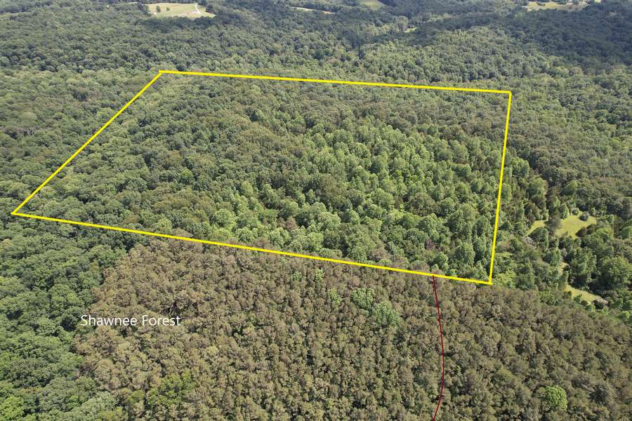 Secluded Hunting & Recreational Property Adjoining Shawnee Forest